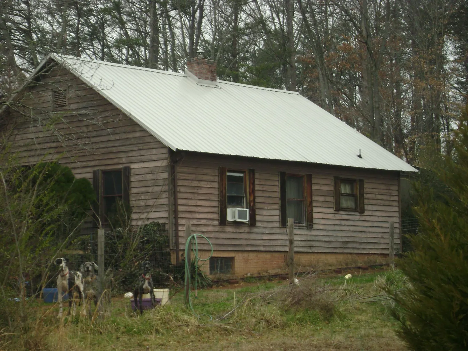 White metal roof on an old wood sided farmhouse, from a Asphalt Shingle Roof Repair job in Meservey